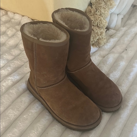 Women’s classic brown short ugg boots - Picture 6 of 10